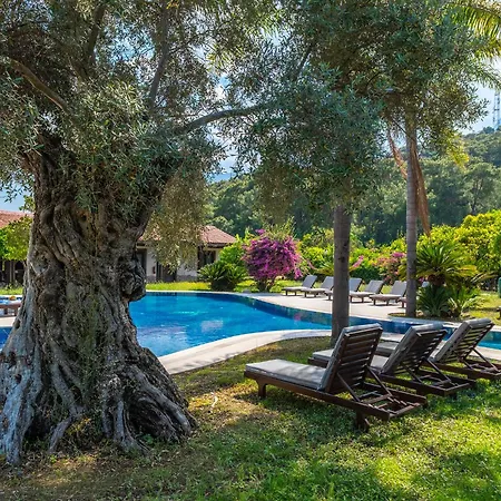 Bauernhof House - Adult Only *